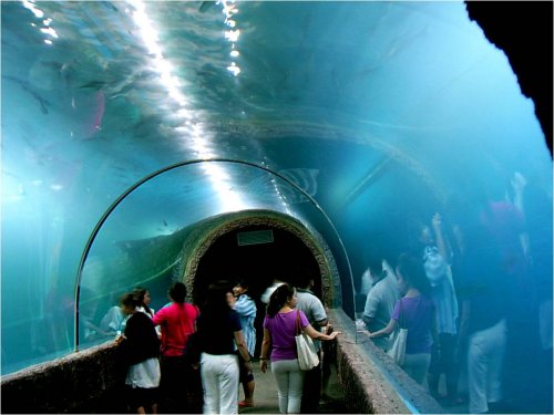 Thailand Aquarium