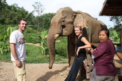Bleak Future For Elephants In Laos
