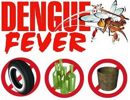 Vientiane Reports 171 Dengue Fever Cases