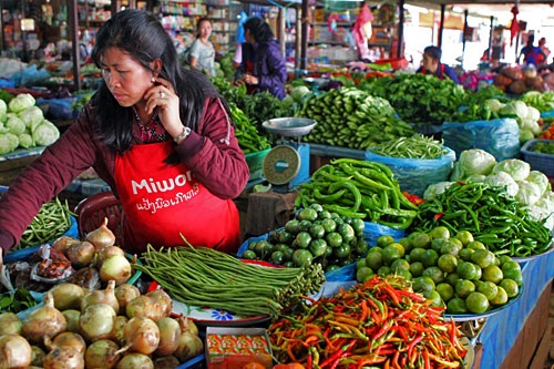 Laos records low inflation in line with region
