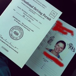 International Driving License