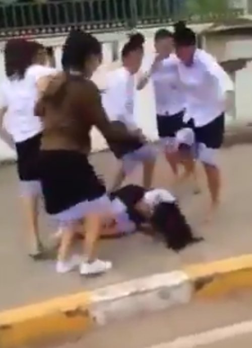 Student Brawls Spark Outrage, Authorities Concerned