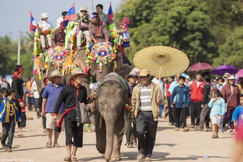Elephant Festival Highlights Xayaboury's Hidden Lifestyle