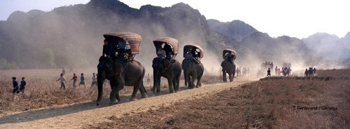 The Elephant Caravan Laos 2015
