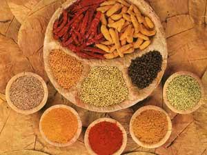 The Great Indian Spice Trail