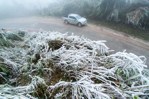 Cold Weather Freezes Up Vehicles