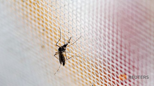 Laos Reports Local Transmission Of Zika Virus