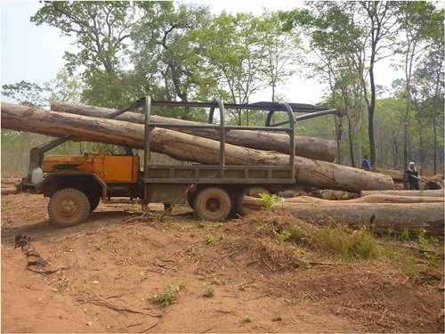 Lao Government Appoints Committee to Enforce Timber Export Ban