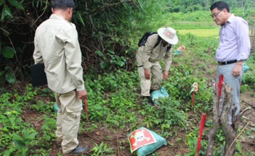 Seven injured in UXO-related accidents this year