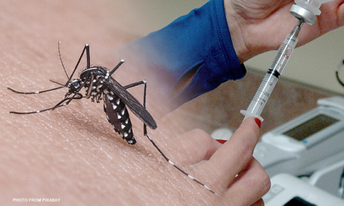 Bangkok Hospital Starts Offering Dengue Vaccine