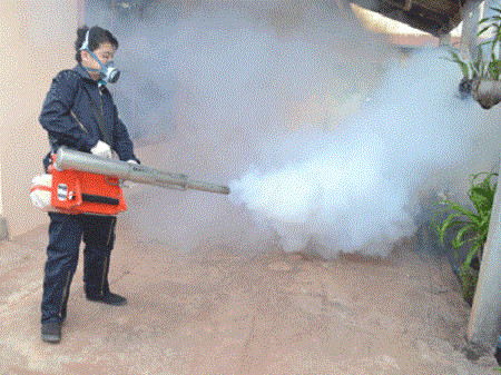 Vientiane dengue fever rates higher this year