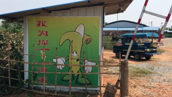Cash and chemicals: for Laos, Chinese banana boom a blessing and curse