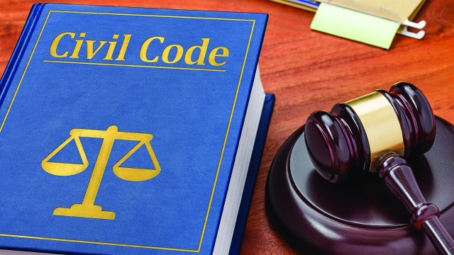 National Assembly Debates Draft Of Civil Code