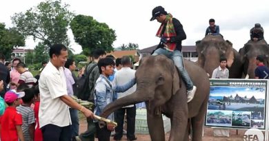 Chinese Firm To Build US $40 Million Elephant Conservation, Breeding Center In Laos