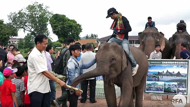 Chinese Firm To Build US $40 Million Elephant Conservation, Breeding Center In Laos