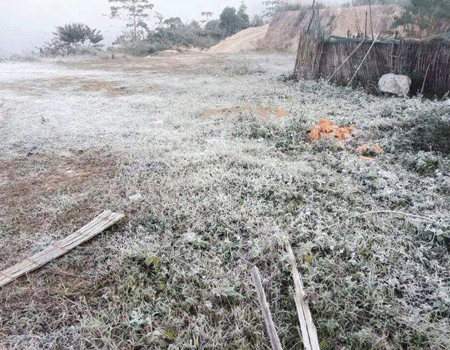 Northern farms turn to ice as frost hits