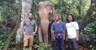 Luang Prabang – A Pachyderm Paradise