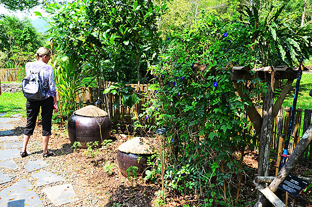 Pha Tad Ke Botanical Garden Luang Prabang