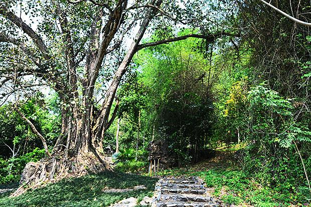 Pha Tad Ke Botanical Garden Luang Prabang