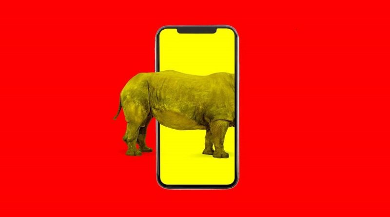 How China's WeChat became a grim heart of illegal animal trading