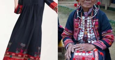 MaxMara Allegedly Stole Designs From A Laotian Community For These Pricey Dresses