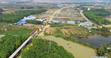 Nearly 80 pct of China-Laos Railway Construction Completed