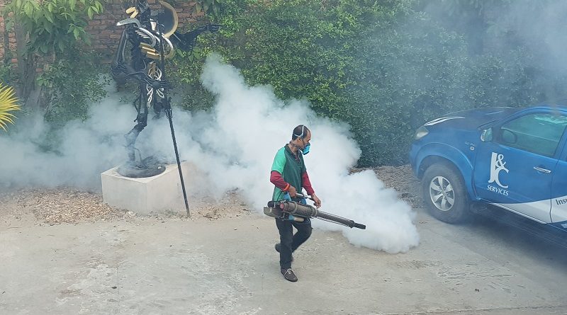 Health Officials Strive To Take Sting Out Of Dengue Fever
