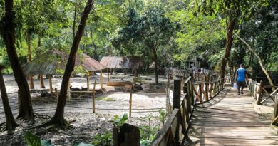Lao Zoo Refocuses Vision From Entertainment To Education
