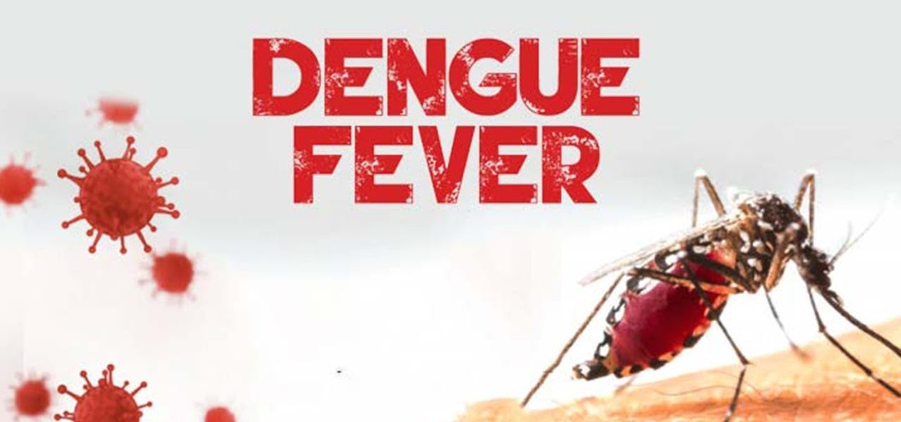 Over 25,000 People Infected With Dengue In Laos Since January