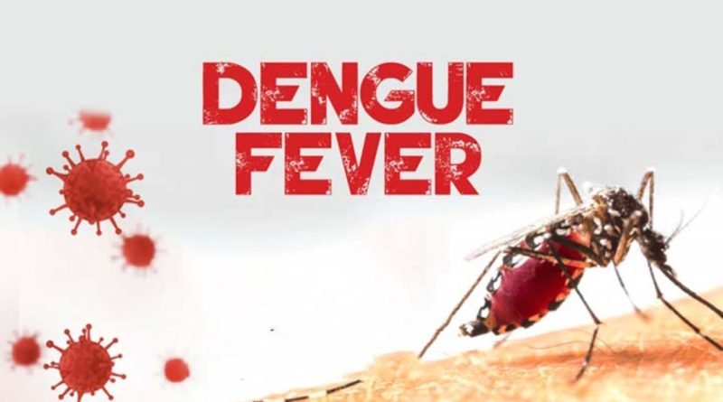 Dengue Cases In Laos Reach 6,203
