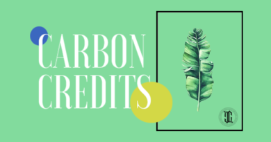 Laos To Earn Revenue From Sale Of Carbon Credit Next Year