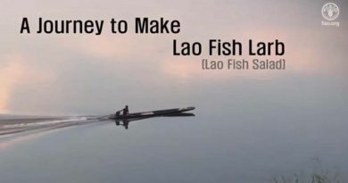 Laos’ Fish Larb Video Show At Fisheries Meeting In Rome