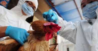 Laos Reports 1st Human H5N6 Avian Influenza Case