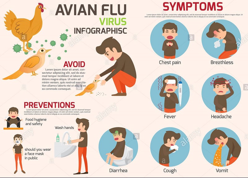 Laos Reports 1st Human H5N6 Avian Influenza Case