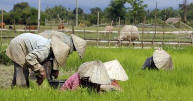 World Bank To Support Land Administration, Titling In Lao PDR