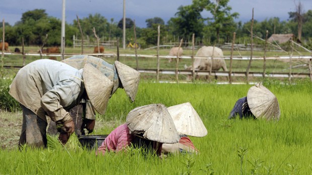 World Bank To Support Land Administration, Titling In Lao PDR