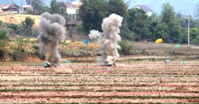 Eleven die, 44 injured in UXO accidents during 2021