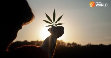 What Is And Isn’t Allowed As Thailand Legalizes Pot