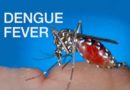 Laos Sees Sharp Rise In Dengue Fever Cases In 2022
