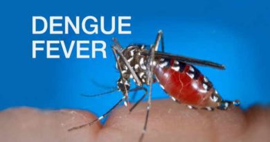 Vientiane City At High Risk Of Widespread Dengue Outbreak