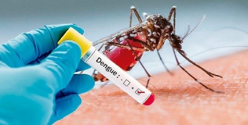 Major alert in country as dengue cases exceed 30,000 in Laos