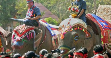 After 3-year Hiatus, The Lao Elephant Festival is to be Held in February