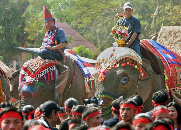 After 3-year Hiatus, The Lao Elephant Festival is to be Held in February