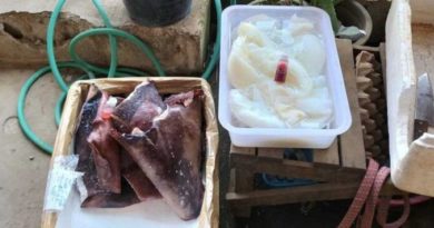 Laos Health Officials Find Formaldehyde in Food Products at Luang Prabang Markets