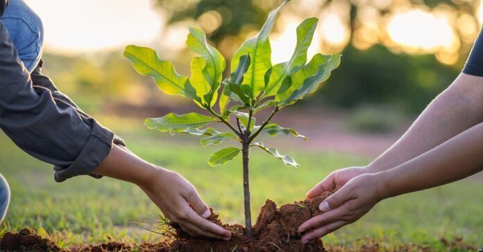 Laos to Plant Over 3 Million Trees for Arbor Day Festival
