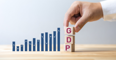 GDP Grows by 4.8%: Minister of Planning and Investment
