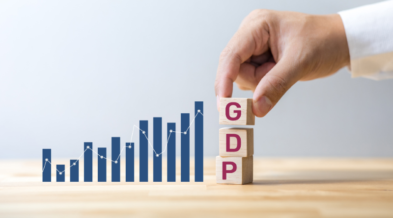 GDP Grows by 4.8%: Minister of Planning and Investment