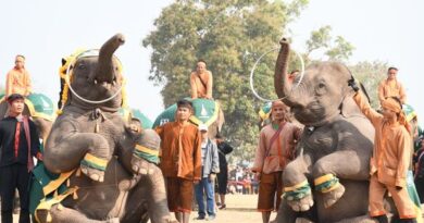 Xayaboury Gears Up for Massive Elephant Celebration
