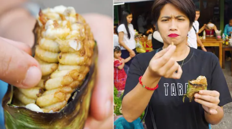 Luang Prabang Bee Larvae: Viral Snack Sparks Debate